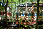 Trolley Graveyard | Sun-Dappled