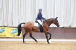 SBM_008904