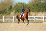 SBM_001913