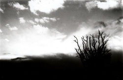 Black & White portfolio