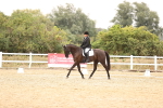 SBM_003235
