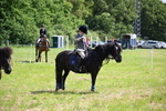 WJ6_4114