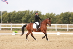 SBM_000991