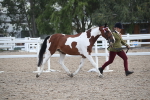 SBM_23096