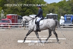 BPP_6391