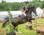 Dunblane show-391