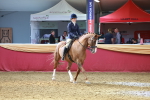 SBM_20197