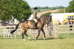 SBM_09758
