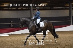BPP_2589