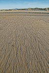 ACP06491-1