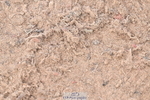 260923B-132229-00378