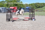 BPP_6950