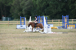 WJ6_8428
