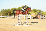SBM_003368
