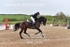 BPP_3444