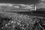 Rubha nan Gall 03