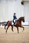 SBM_009591