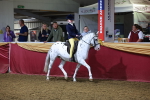 SBM_15706