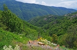 Rila Mountains, Kyustendil Province, Bulgaria