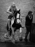 Appleby 027