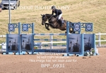 BPP_6931