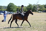 WJ6_8367