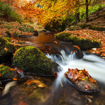 Colours Of Autumn