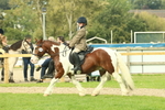 SBM_68247
