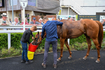 170826-Race 5-Our Absent Friends-5511