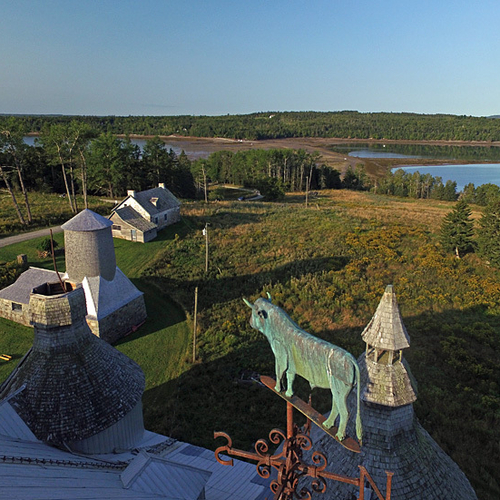 Eavesdropping on the Weathervane Cow's POV atop the livestock barn.