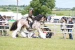 SBM_17107