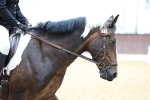 SBM_004721