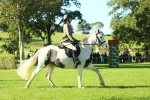 SBM_36438