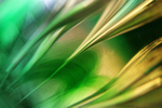 Green 1