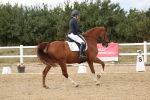 SBM_011858