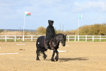 SBM_001070