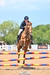 Cls 24 British Novice and 80cm portfolio