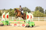 SBM_03817