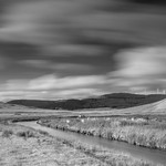 Portrail Water