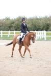 SBM_006576