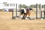SBM_025072
