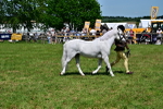 SBM_07814