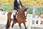Cls 3B Jnr Prelim 13 portfolio
