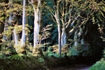Around porlock portfolio