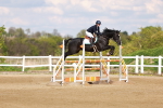 SBM_002339