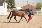 SBM_06850