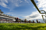 Race 6 18.15pm Sky Bet For The Fans Handicap portfolio