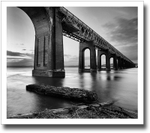 Staples ♦ TAY BRIDGE