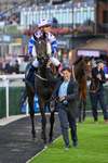 160926-Race 7-Star Suepreme-1885