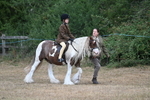 WJ7_6764